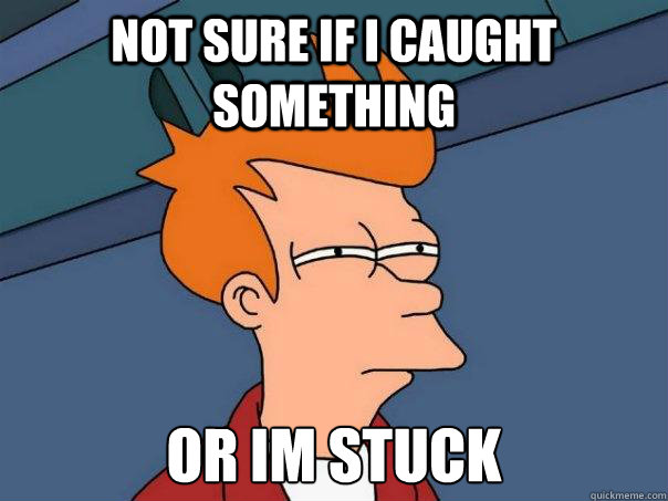 Not sure if I caught something Or im stuck  Futurama Fry