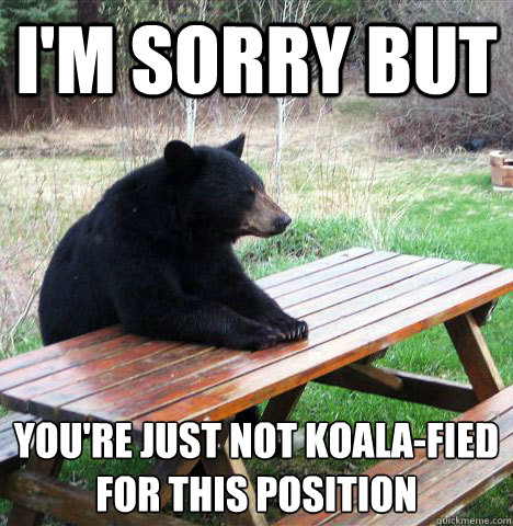 I'm sorry but You're just not koala-fied for this position  waiting bear