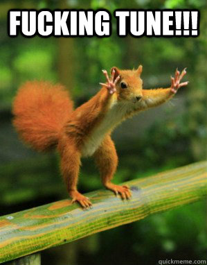 FUCKING TUNE!!!  - FUCKING TUNE!!!   Panic Squirrel