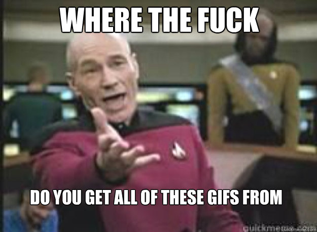 Where the fuck do you get all of these gifs from  What the Fuck