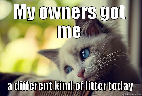MY OWNERS GOT ME A DIFFERENT KIND OF LITTER TODAY First World Problems Cat
