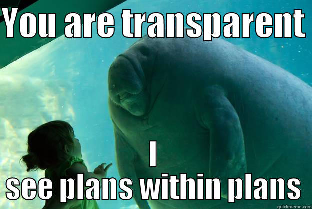 YOU ARE TRANSPARENT  I SEE PLANS WITHIN PLANS Overlord Manatee