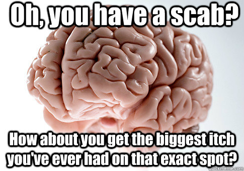 Oh, you have a scab? How about you get the biggest itch you've ever had on that exact spot?   Scumbag Brain