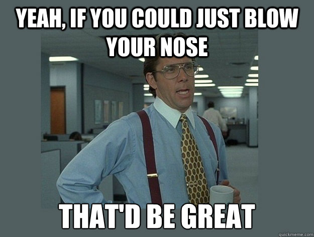yeah, if you could just blow your nose That'd be great - yeah, if you could just blow your nose That'd be great  Office Space Lumbergh