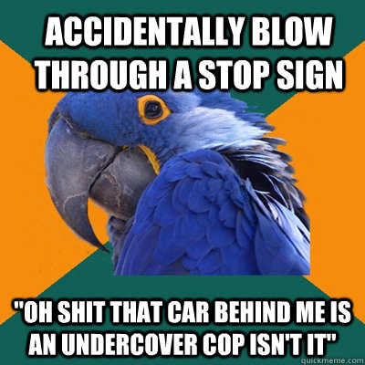 accidentally blow through a stop sign 
