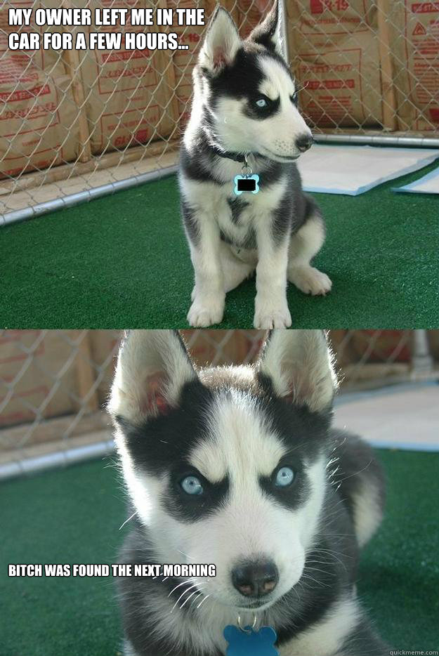 My owner left me in the
car for a few hours... bitch was found the next morning  Insanity puppy