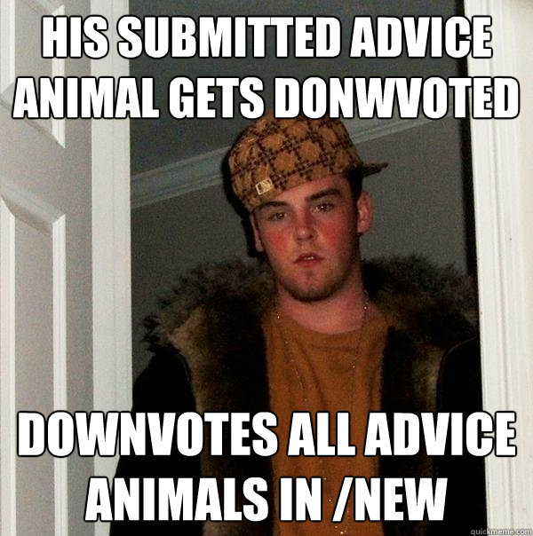His submitted advice animal gets donwvoted Downvotes all advice animals in /new  Scumbag Steve