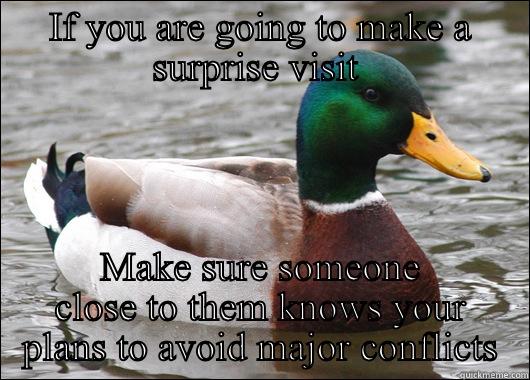IF YOU ARE GOING TO MAKE A SURPRISE VISIT  MAKE SURE SOMEONE CLOSE TO THEM KNOWS YOUR PLANS TO AVOID MAJOR CONFLICTS Actual Advice Mallard