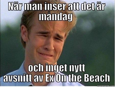 NÄR MAN INSER ATT DET ÄR MÅNDAG  OCH INGET NYTT AVSNITT AV EX ON THE BEACH 1990s Problems