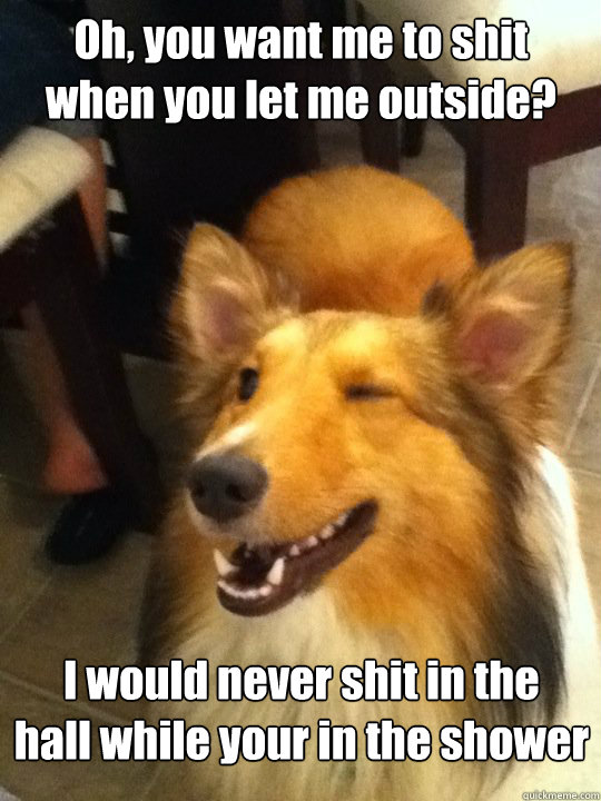 Oh, you want me to shit 
when you let me outside? I would never shit in the 
hall while your in the shower  implying dog