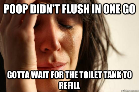 Poop didn't flush in one go gotta wait for the toilet tank to refill  First World Problems