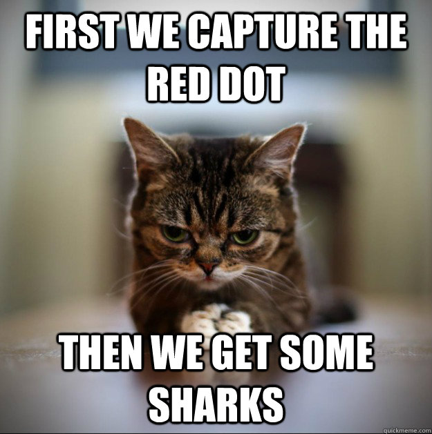 first we capture the red dot Then we get some sharks  