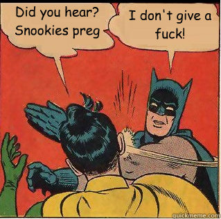 Did you hear? Snookies preg I don't give a fuck!  Bitch Slappin Batman
