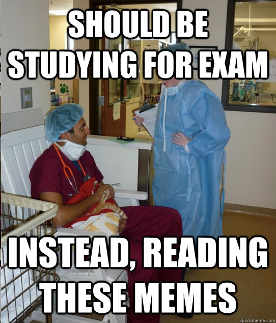 should be studying for exam instead, reading these memes  Overworked Veterinary Student