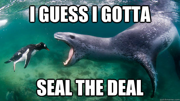 I guess I gotta Seal the deal - I guess I gotta Seal the deal  Moderately Morose Penguin
