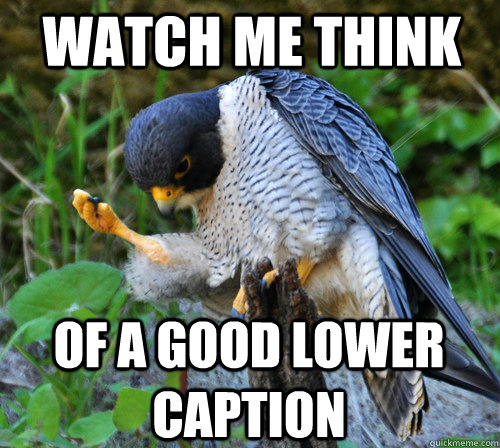 Watch me think Of a good lower caption - Watch me think Of a good lower caption  Success Falcon