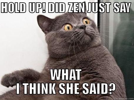surprised cat - HOLD UP! DID ZEN JUST SAY  WHAT I THINK SHE SAID? conspiracy cat