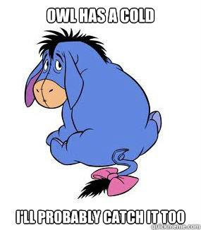 Owl has a cold I'll probably catch it too  Pessimistic Eeyore