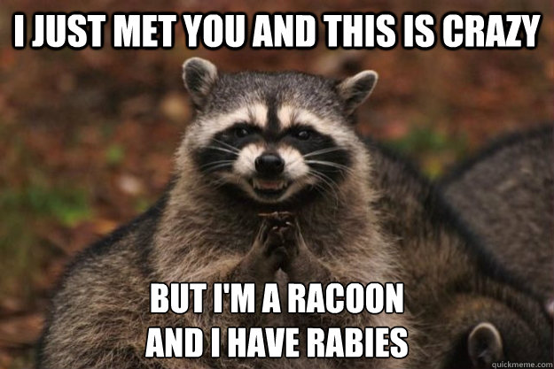 I Just Met You And This Is Crazy But I'm A Racoon 
And I have Rabies - I Just Met You And This Is Crazy But I'm A Racoon 
And I have Rabies  cheap racoon