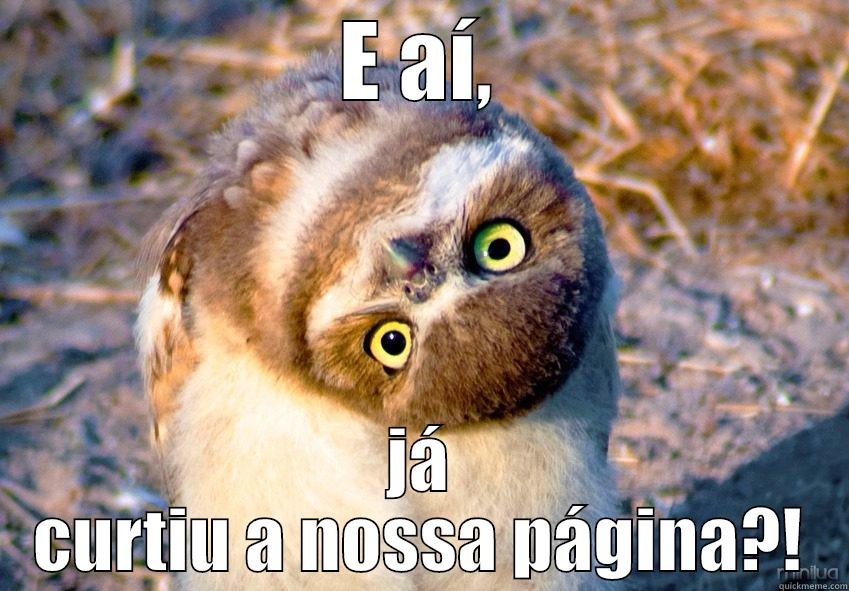 E AÍ, JÁ CURTIU A NOSSA PÁGINA?! Misc
