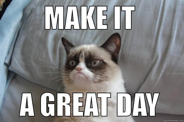 MAKE IT A GREAT DAY Grumpy Cat