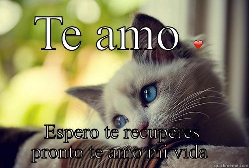 TE AMO ❤️ ESPERO TE RECUPERES PRONTO TE AMO MI VIDA ❤️ First World Problems Cat
