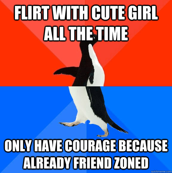 Flirt with cute girl all the time Only have courage because already friend zoned  Awesome Awkward Penguin