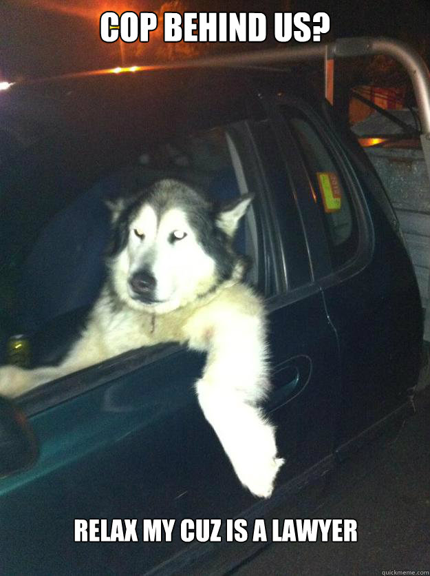 Cop behind us? relax my cuz is a lawyer  Mean Dog