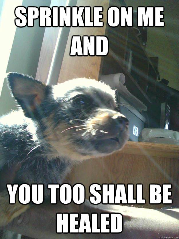 SPRINKLE ON ME AND  YOU TOO SHALL BE HEALED - SPRINKLE ON ME AND  YOU TOO SHALL BE HEALED  Healing Dog