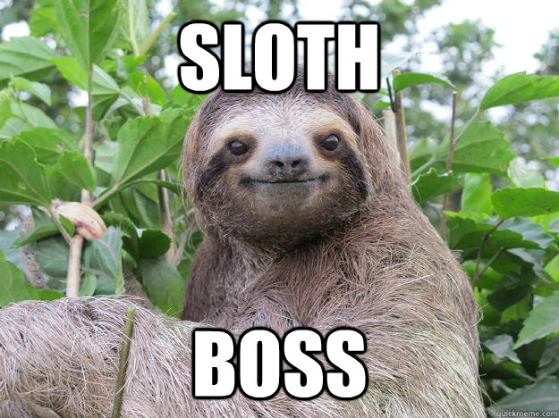 SLOTH BOSS  Stoned Sloth