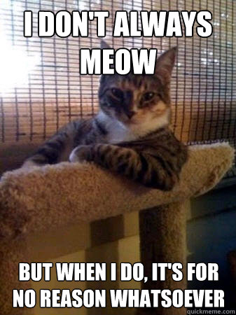 I don't always meow but when I do, It's for no reason whatsoever  The Most Interesting Cat in the World