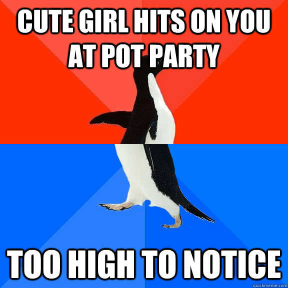Cute girl hits on you at pot party Too high to notice  Socially Awesome Awkward Penguin
