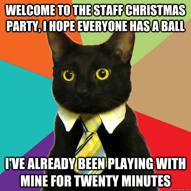 Welcome to the staff christmas party, I hope everyone has a ball I've already been playing with mine for twenty minutes - Welcome to the staff christmas party, I hope everyone has a ball I've already been playing with mine for twenty minutes  Business Cat