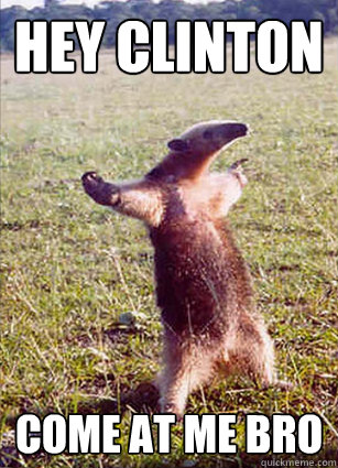 Hey Clinton Come at me bro   Defiace Anteater