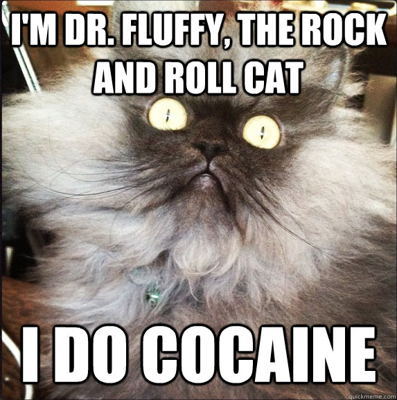 I'm dr. fluffy, the rock and roll cat I do cocaine  