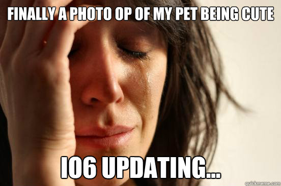 finally a photo op of my pet being cute io6 updating...  First World Problems