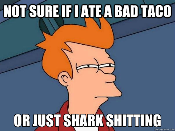Not sure if I ate a bad taco Or just shark shitting  Not sure Fry