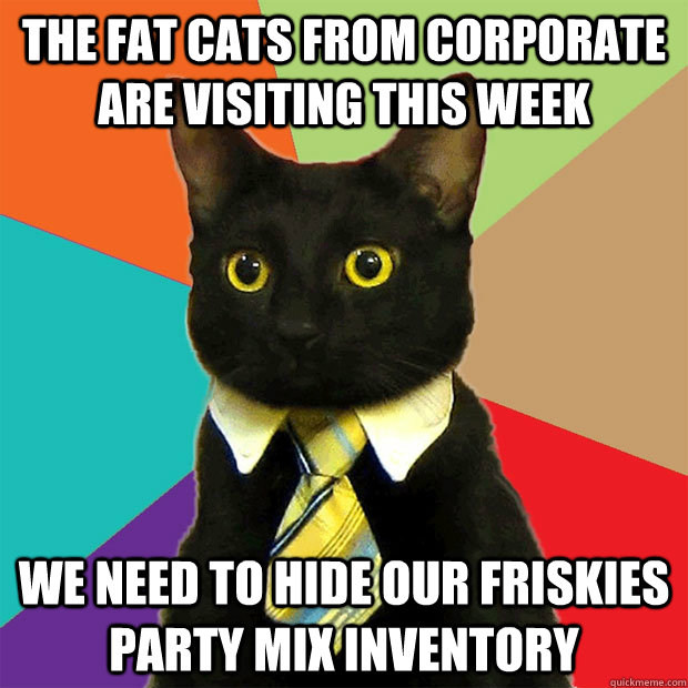 The fat cats from corporate are visiting this week we need to hide our friskies party mix inventory  Business Cat