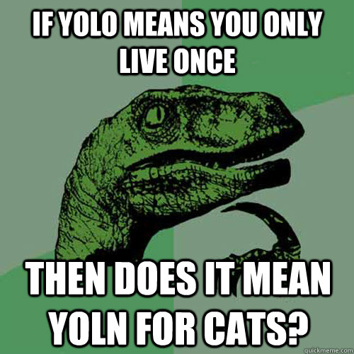 If yolo means you only live once  Then does it mean yoln for cats?  Philosoraptor