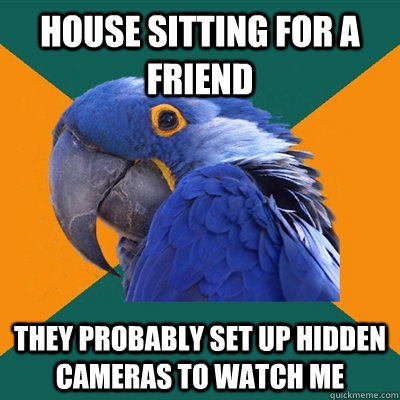 House sitting for a friend They probably set up hidden cameras to watch me  Paranoid Parrot
