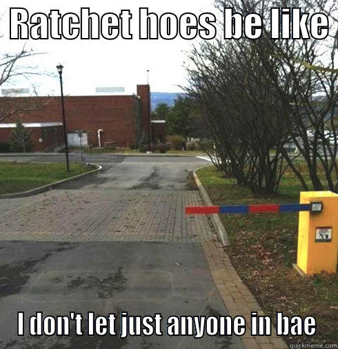  RATCHET HOES BE LIKE  I DON'T LET JUST ANYONE IN BAE Misc