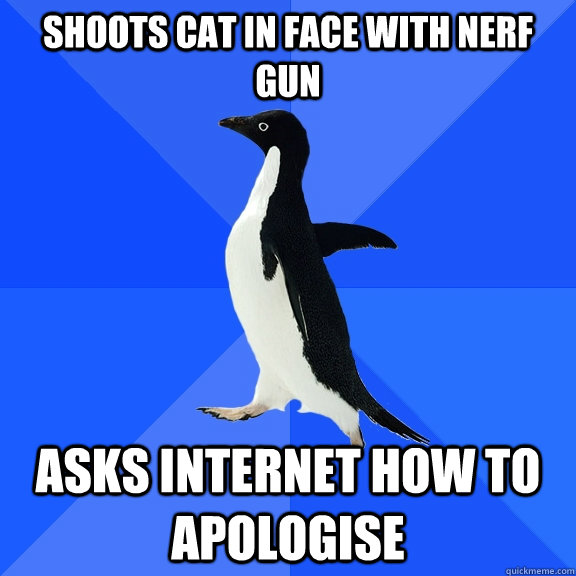 Shoots cat in face with nerf gun asks internet how to apologise  Socially Awkward Penguin