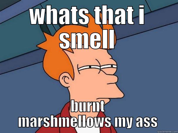 WHATS THAT I SMELL BURNT MARSHMALLOWS MY ASS Futurama Fry