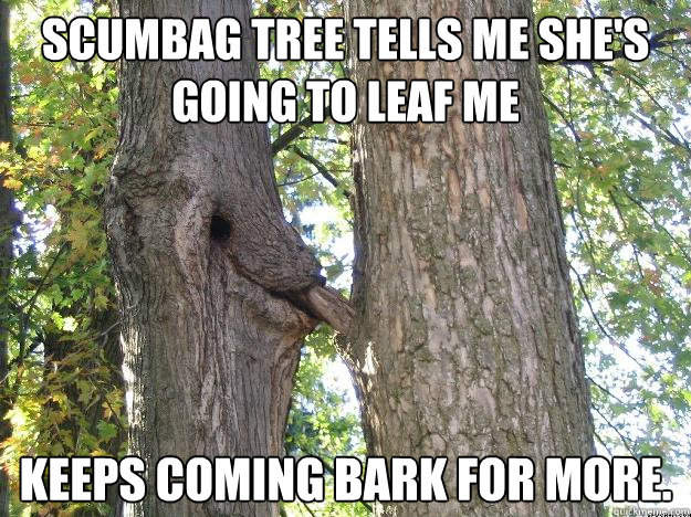 Scumbag tree tells me she's going to leaf me Keeps coming bark for more. - Scumbag tree tells me she's going to leaf me Keeps coming bark for more.  Treeme
