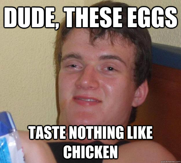 Dude, these eggs taste nothing like chicken  10 Guy