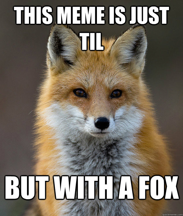 This meme is Just TIL but with a fox  Fun Fact Fox