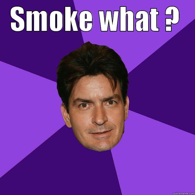 Charly Sheen - SMOKE WHAT ?  Clean Sheen