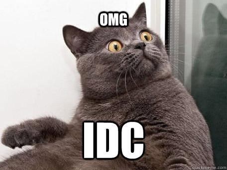 omg idc - omg idc  conspiracy cat