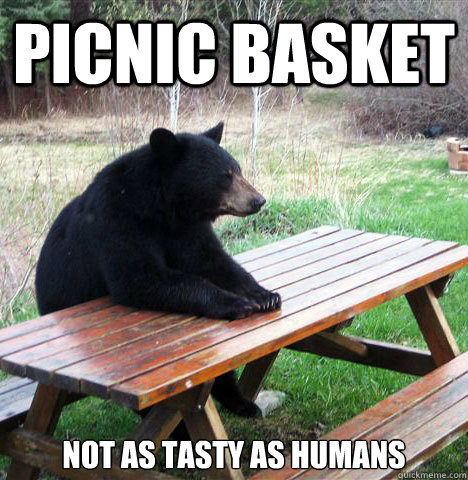 picnic basket not as tasty as humans  waiting bear