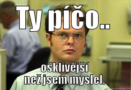 TY PÍČO.. OŠKLIVĚJŠÍ NEŽ JSEM MYSLEL. Schrute
